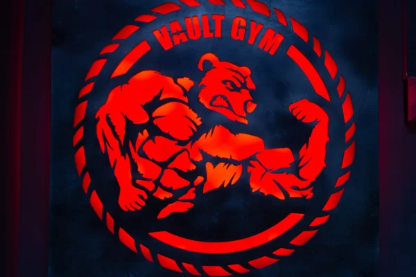 Логотип Vault Gym крупным планом