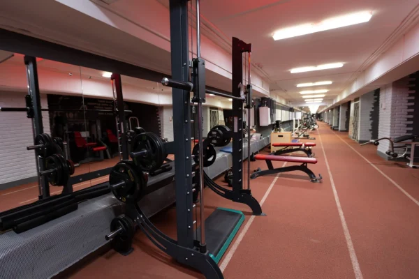 Блочный тренажер и беговые дорожки Vault Gym