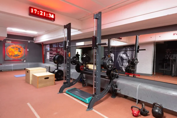 Блочный тренажер с двумя стеками Vault Gym Гомель