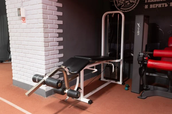 Тренажер для сгибания ног лежа в Vault Gym Гомель