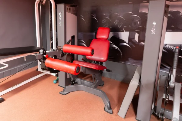 Тренажер для разгибания ног сидя Vault Gym