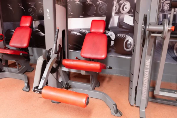 Тренажер для сгибания ног в Vault Gym Гомель