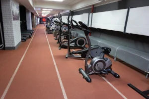 Ряд велотренажеров в кардио-зоне Vault Gym Гомель
